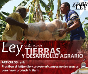 Venezuelas land law supports redistribution of idle land